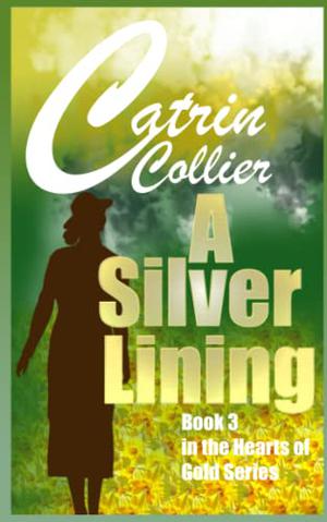 A Silver Lining by Catrin Collier