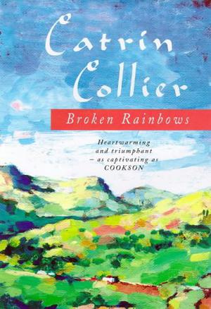 Broken Rainbows by Catrin Collier