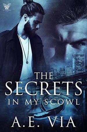 The Secrets in My Scowl by A.E. Via, Jay Aheer