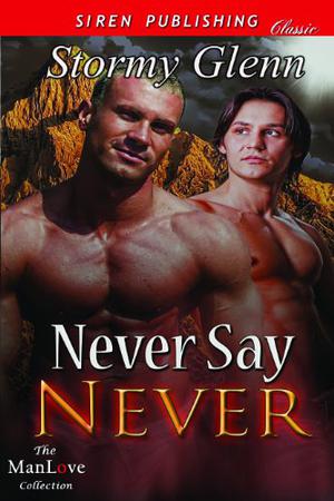 Never Say Never by Stormy Glenn