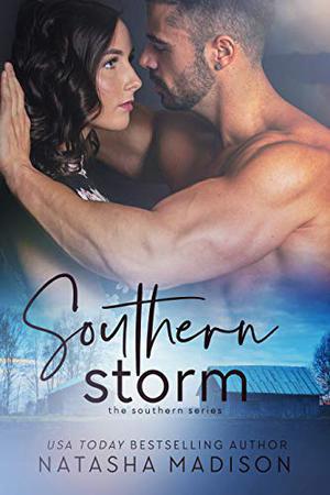 Southern Storm ( The Southern Series Book 3) (Souther Series) (Southern Series #3)
