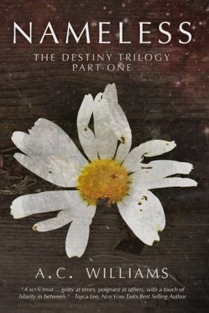 Nameless by A.C. Williams