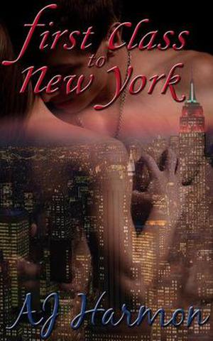 First Class to New York (First Class Novels #1)