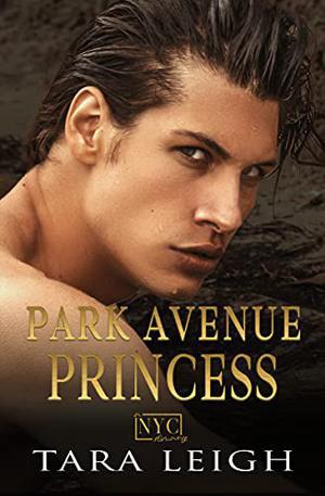Park Avenue Princess by Tara Leigh