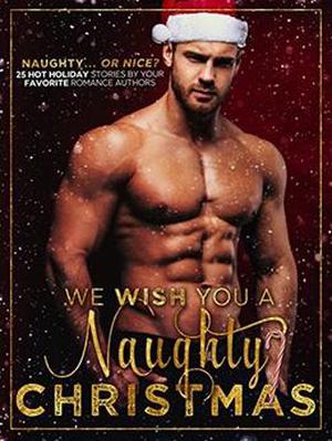 We Wish You a Naughty Christmas by Skye Warren, Krista Lakes, Penny Wylder, Willow Winters, L.J. Shen, M Never, Jo Raven, Frankie Love, Jade West, Caitlin Daire