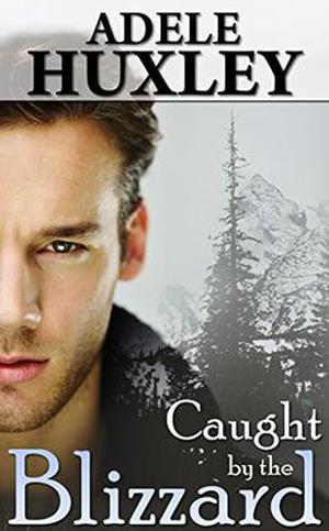 Caught by the Blizzard (Tellure Hollow #1)