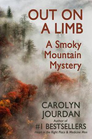 Out on a Limb: A Smoky Mountain Mystery (Nurse Phoebe #1)