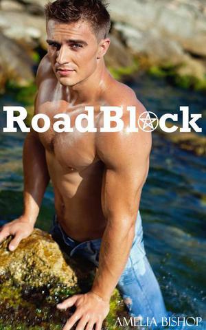 RoadBlock by Amelia Bishop