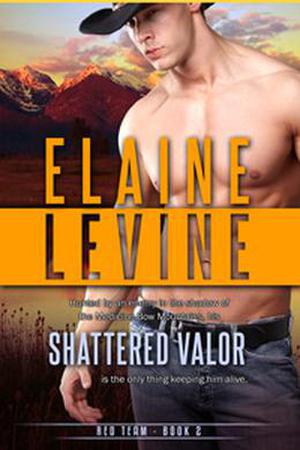 Shattered Valor (Red Team #2)