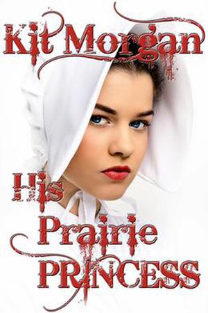 His Prairie Princess (Prairie Brides #1)