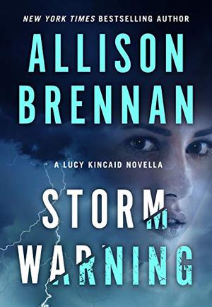 Storm Warning (Lucy Kincaid #14.5)