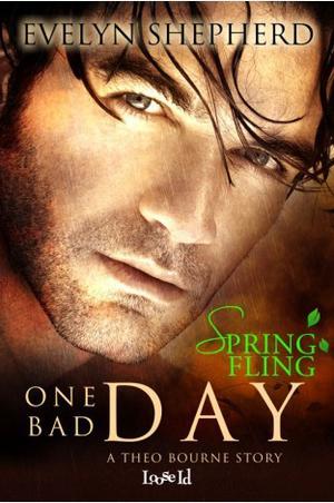 One Bad Day: A Theo Bourne Story by Evelyn Shepherd