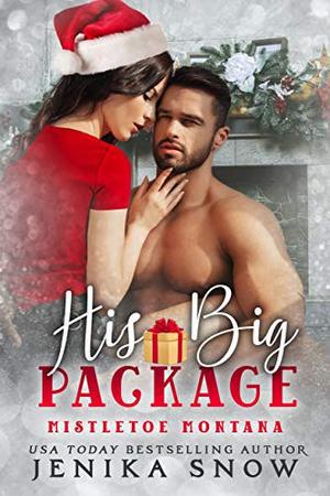 His Big Package by Jenika Snow