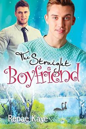 The Straight Boyfriend (Loving You #3)