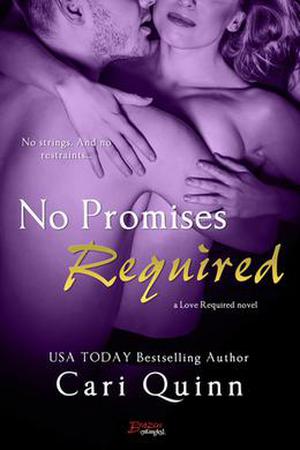 No Promises Required (Love Required #4)