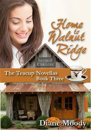Home to Walnut Ridge (The Teacup Novellas #3)