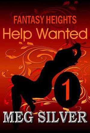 Help Wanted by Meg Silver
