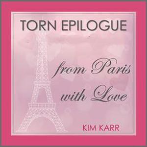 Torn Epilogue (Connections #2.1)