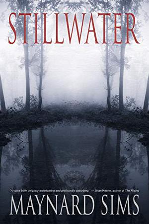 Stillwater by Maynard Sims