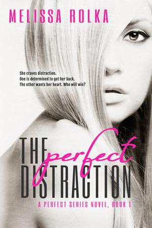 The Perfect Distraction by Melissa Rolka