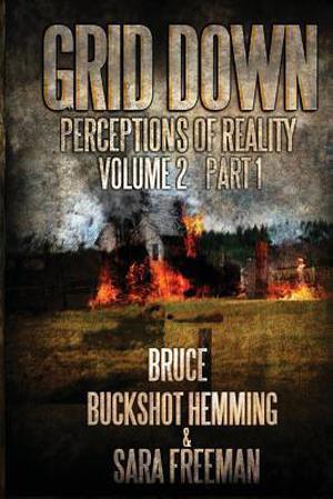 Grid Down Perceptions of Reality Vol 2 Book 1: Vol 2 Book 1 by Bruce Buckshot Hemming, Sara Freeman