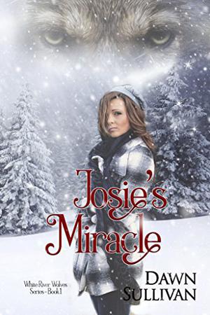 Josie's Miracle by Dawn Sullivan