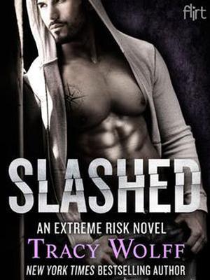 Slashed (Extreme Risk #3)