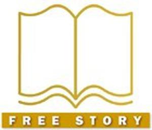 Bare Snow Falling on Fairywood (Elfhome #0.9)