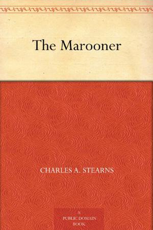The Marooner by Charles A. Stearns