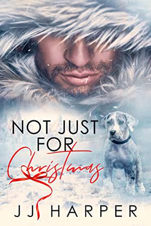Not Just For Christmas by J.J. Harper