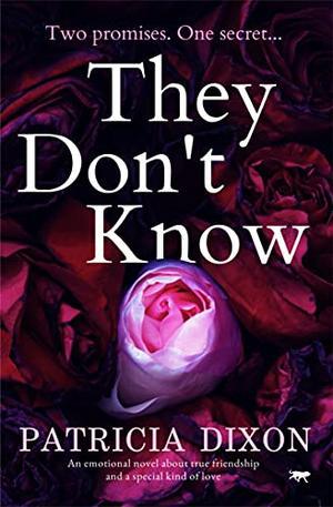 They Don't Know by Patricia Dixon
