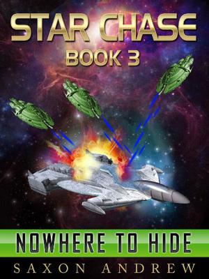 Nowhere To Hide (Star Chase #3)