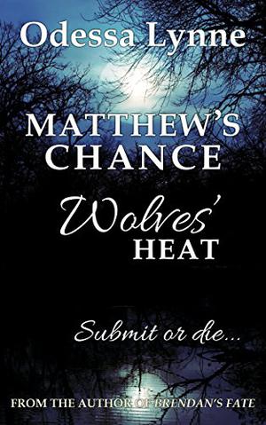 Matthew's Chance (Wolves' Heat #4)