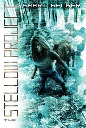 The Stellow Project by Shari Becker