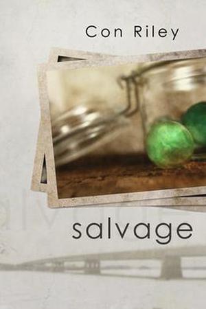 Salvage (Salvage Stories #1)
