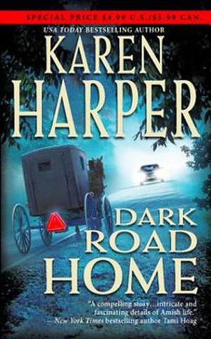 Dark Road Home (Maplecreek #1)