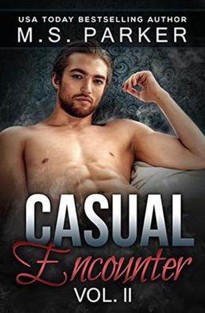 Casual Encounter Vol. 2 (Casual Encounter #2)
