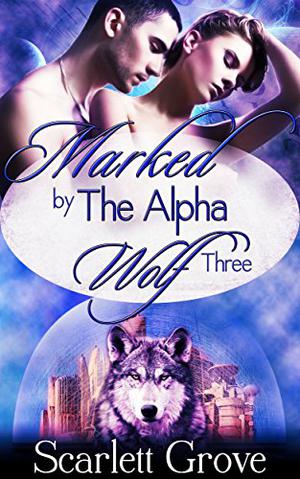 Marked by the Alpha Wolf, Part 3 (Braving Darkness #0.3)
