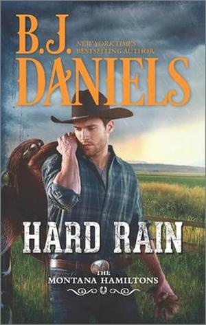 Hard Rain (The Montana Hamiltons #4)