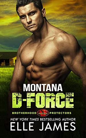 Montana D-Force (Brotherhood Protectors #3)