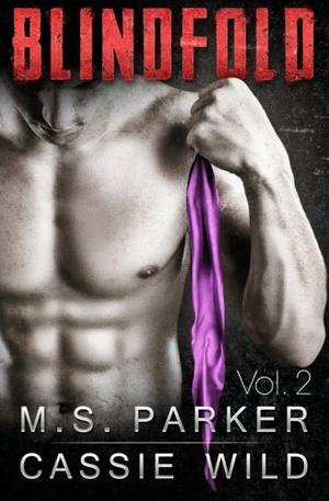 Blindfold Vol. 2 (Blindfold #2)