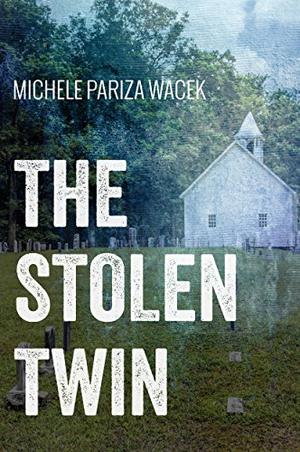The Stolen Twin (The Riverview Mysteries #1)