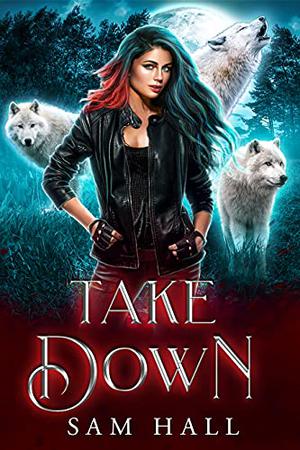 Take Down (Reach for the Moon #3)