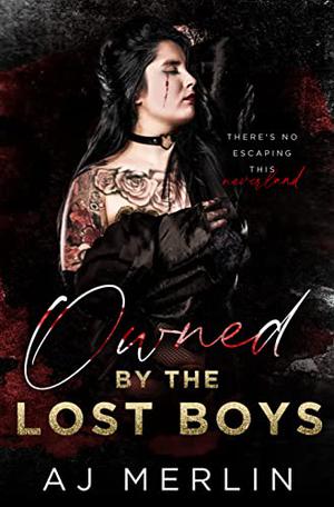 Owned by the Lost Boys by A.J. Merlin