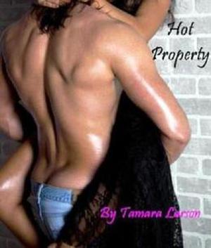 Hot Property by Tamara Larson