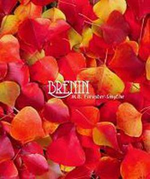 Brenin by M.B. Forester-Smythe