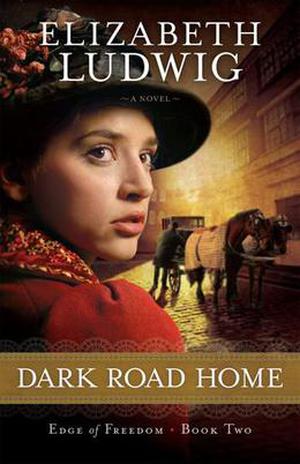 Dark Road Home by Elizabeth Ludwig
