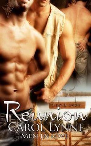 Reunion (Men in Love #7)