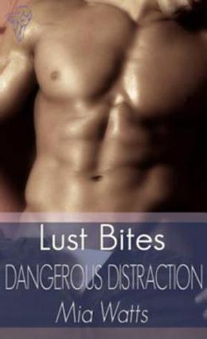 Dangerous Distraction (Boys in Blue #3)
