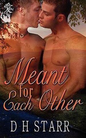 Meant For Each Other by D.H. Starr